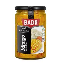 بدر ترشی مخلوط در سس انبه 630گ